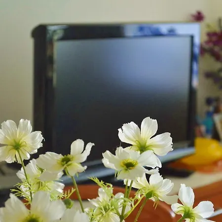 Happy Apartment *